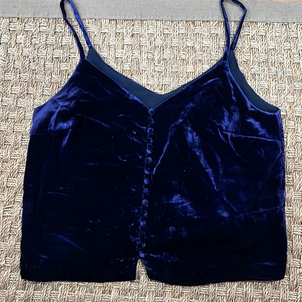 Madewell blue velvet top size 8